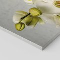 Obraz na płótnie 120x80 - Elegancka uroda orchidei - orchidea, kwiaty