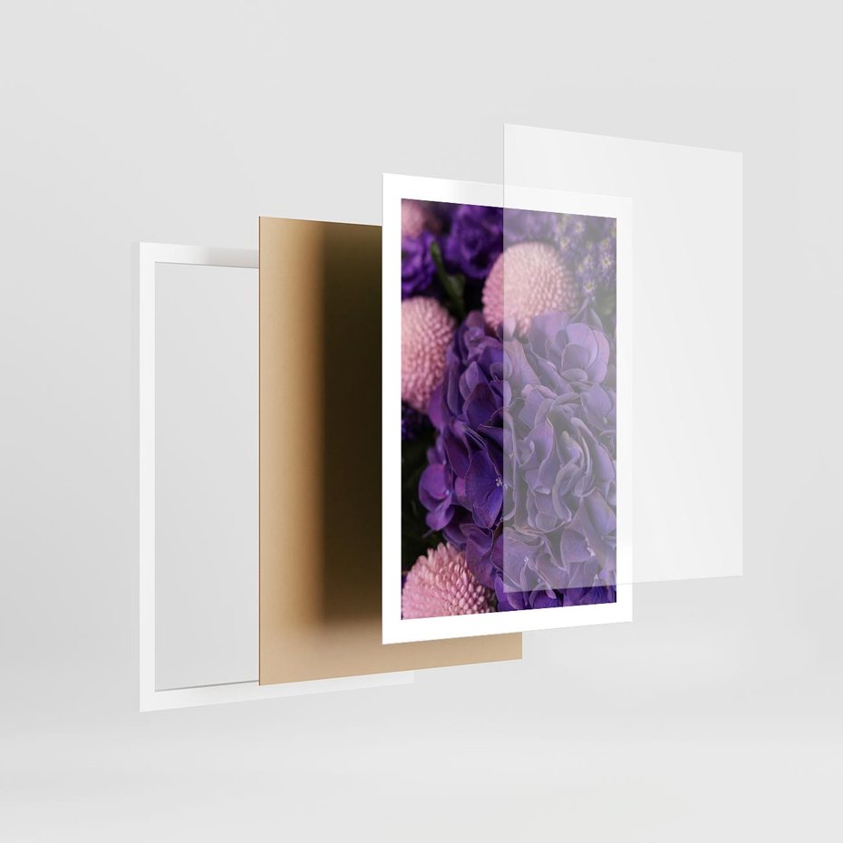 Plakat w ramie 50x70 - Fioletowa hortensja - kwiaty, hortensja - rama biała