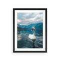 Plakat w ramie 30x40 - Łabędzi Śpiew - fotografia, plakat - rama czarna