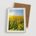 Plakat w ramie 50x70 - Idylla na łące słoneczników - łąka, słoneczniki - rama drewno