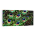Obraz na płótnie 140x70 - Pawi Ogon - Piękno i Wspaniałość - paw, pióra