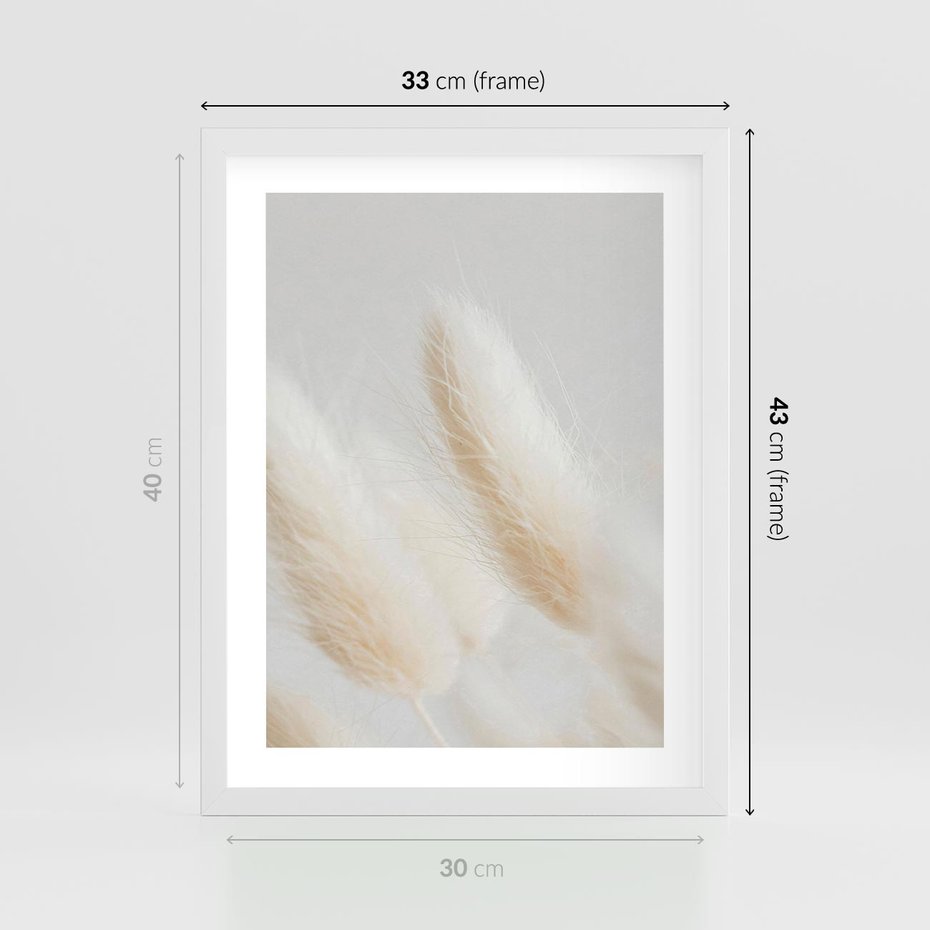 Plakat w ramie 30x40 - Czysty Minimalizm - białe trawy, minimalizm - rama biała