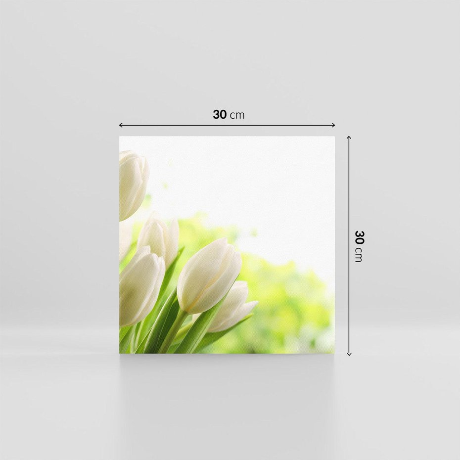 Obraz na płótnie 30x30 - delikatność kwiatów - tulipany, kwiat