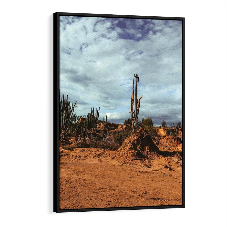 Obraz w ramie 50x70 - Skarby Pustynnego Kanionu - pustynia, kaktusy - rama czarna
