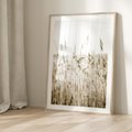 Plakat w ramie 40x50 - Nostalgiczny Pejzaż - suche trawy, pole - rama drewno