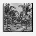 Obraz w ramie 50x50 - Mroczna Ścieżka Tropików - czarno biała fotografia, ścieżka pośród palm - rama czarna