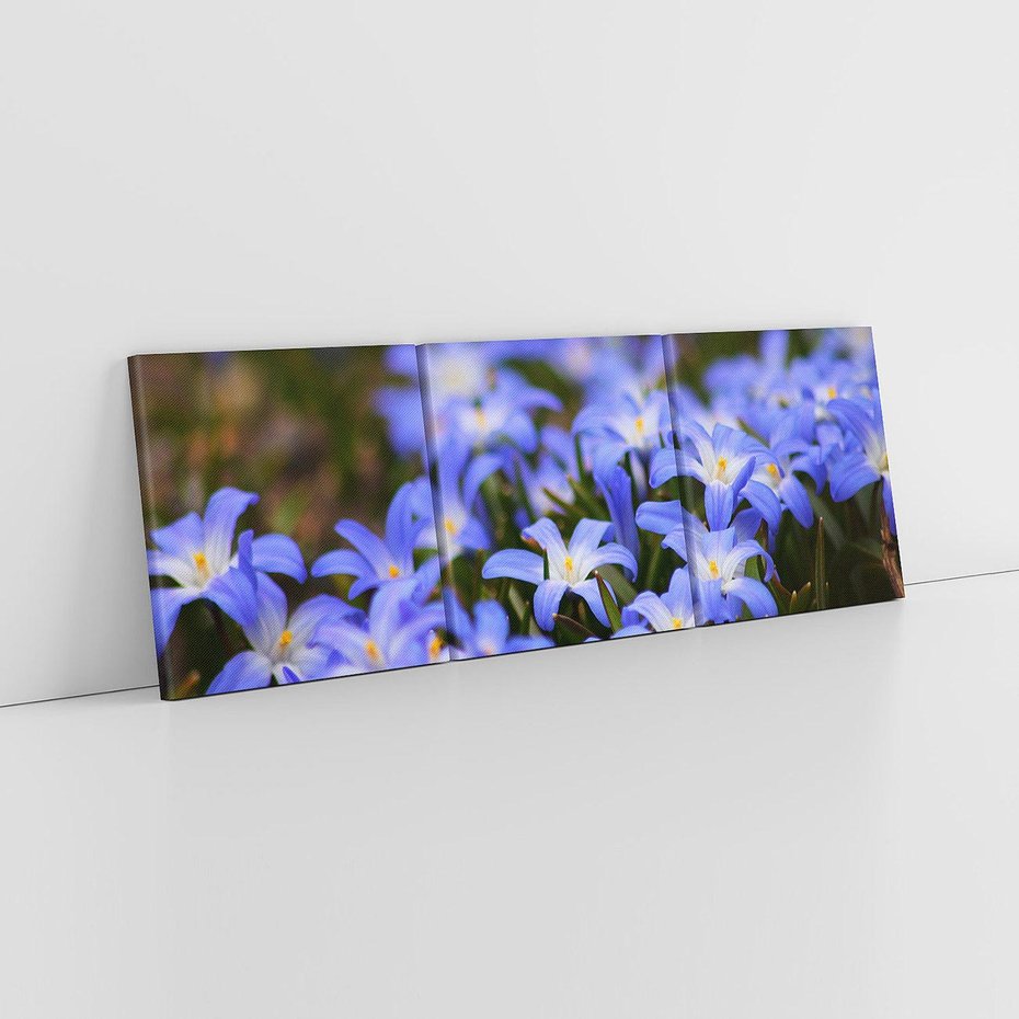 Obraz na płótnie 90x30 - Kwiatowy raj w naturze - kwiat, kwiaty