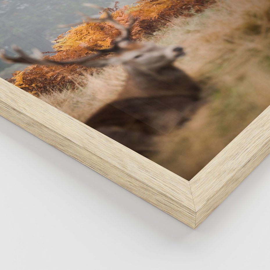 Zestaw obrazy w ramie 40x50 galeria - Góry, jelenie, skandynawski, las - rama drewno