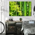 Obraz na płótnie 120x80 - Spokój bambusowego lasu SPA - bambus, drzewa