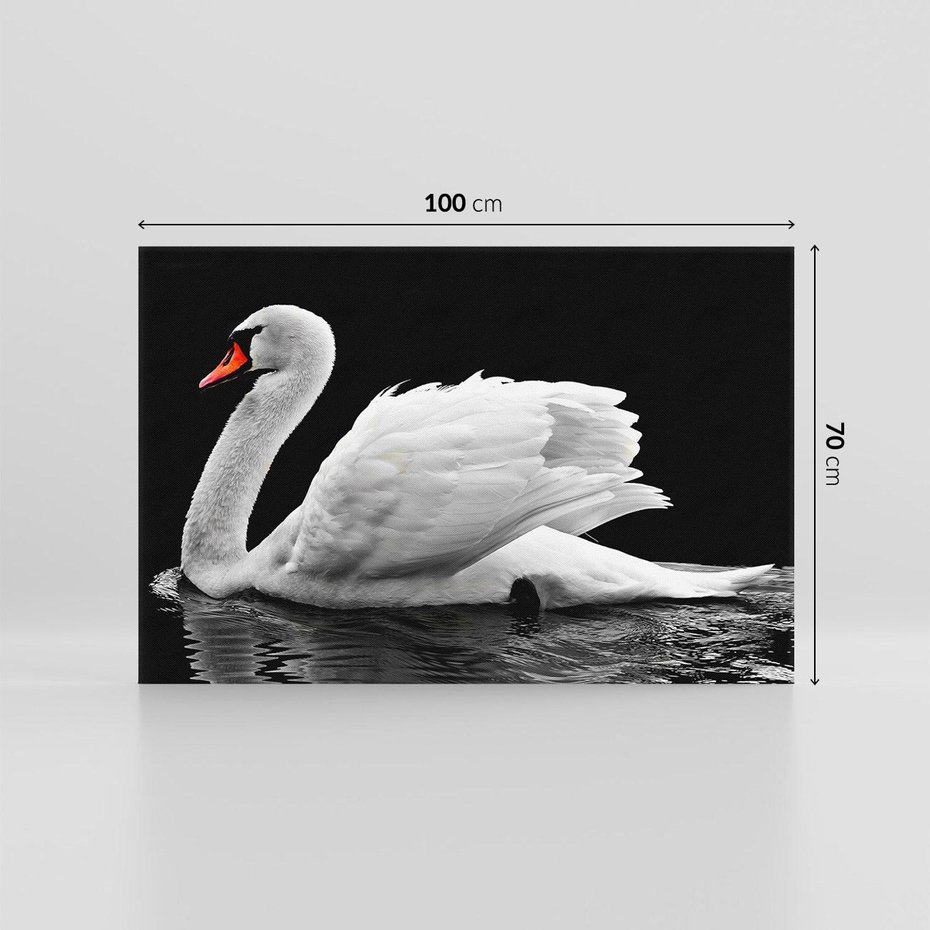 Obraz na płótnie 100x70 - Delikatne Uderzenie Skrzydeł Łabędzia - łabędź, ptak