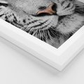 Plakat w ramie 30x40 - Magia Białego Tygrysa - biały, tygrys - rama biała