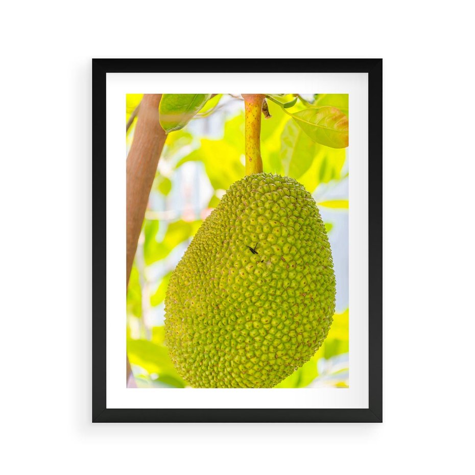 Plakat w ramie 40x50 - Tropikalny raj nad morzem - tropikalny, owoc - rama czarna