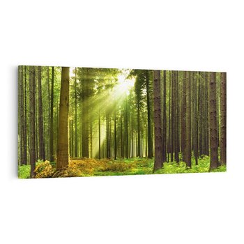 Obraz na płótnie 120x60 - Spokój wśród drzew: las w odcieniach zieleni - las, drzewa