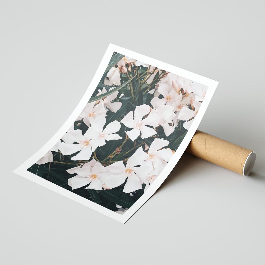 Plakat bez ramy 50x70 - Egzotyczna Uroda - białe kwiaty, tropikalne kwiaty