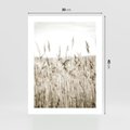 Plakat bez ramy 30x40 - Nostalgiczny Pejzaż - suche trawy, pole