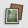 Plakat w ramie 40x50 - Magia lasu pełnego brzóz - las, brzozy - rama czarna