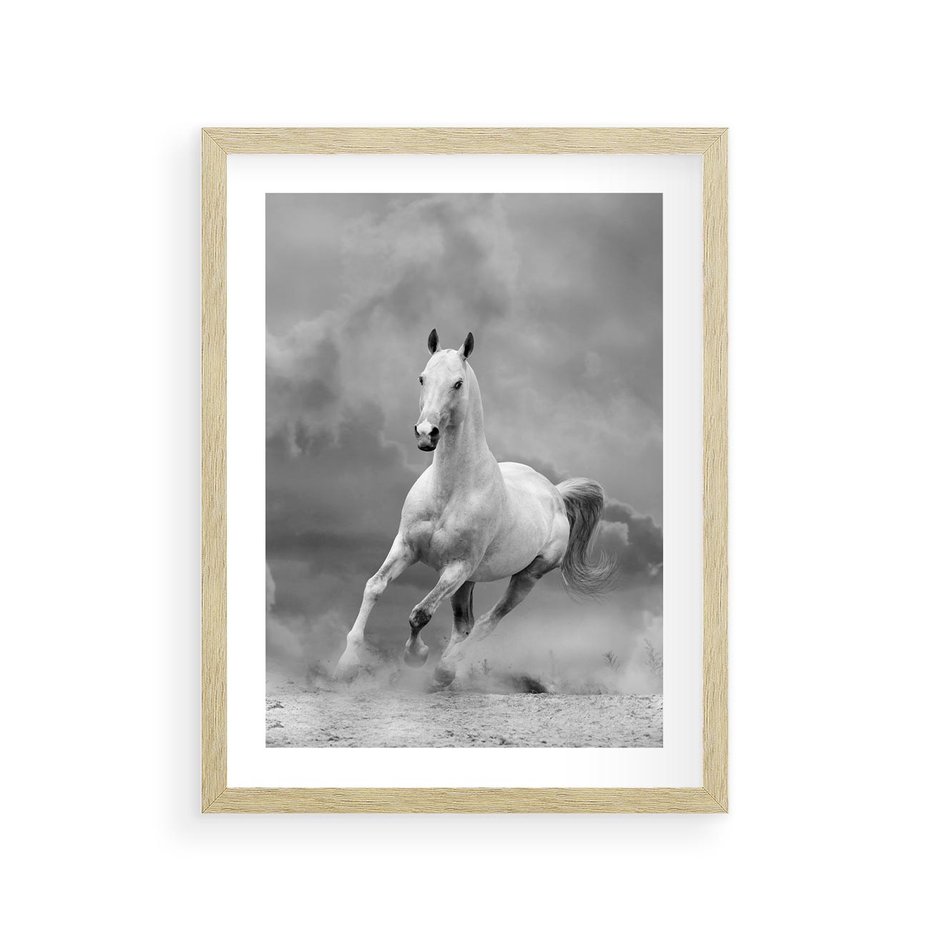 Plakat w ramie 30x40 - Elegancja w Czarno-Białym - koń, biało - rama drewno