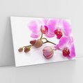 Obraz na płótnie 100x70 - Elegancka orchidea w pełnym rozkwicie - orchidea, kwiat
