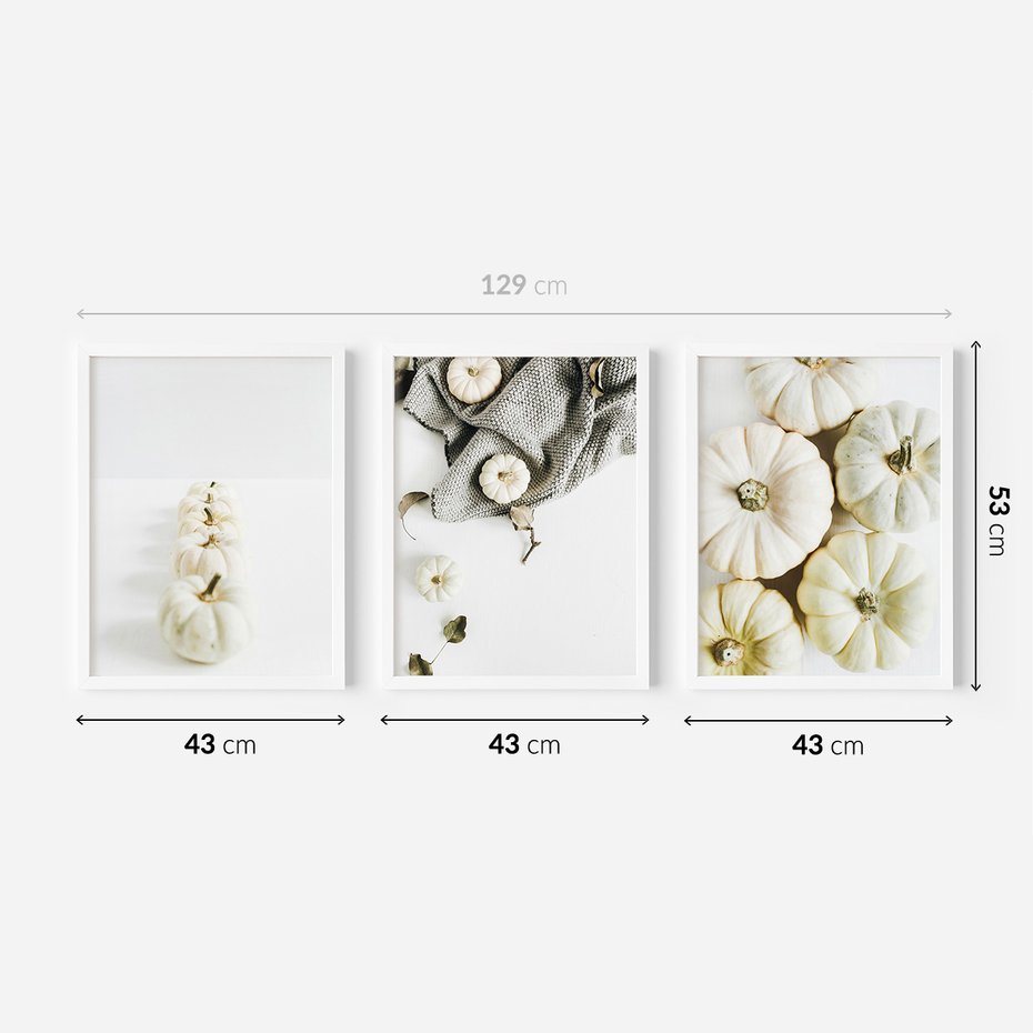 Zestaw obrazy w ramie 40x50 galeria - Białe, dynie, minimalizm - rama biała