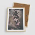 Plakat w ramie 50x70 - Przemijający Urok - kwitnąca, wiśnia - rama drewno