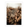 Plakat bez ramy 40x50 - Jesienny Mikrokosmos - suchetrawy, jesienny klimat