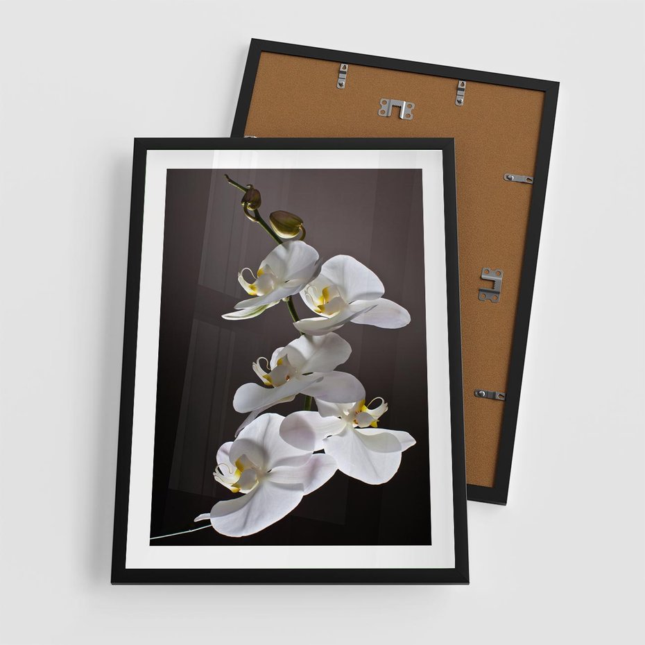 Plakat w ramie 50x70 - SPA: harmonia z kwiatami - spa, kwiaty - rama czarna