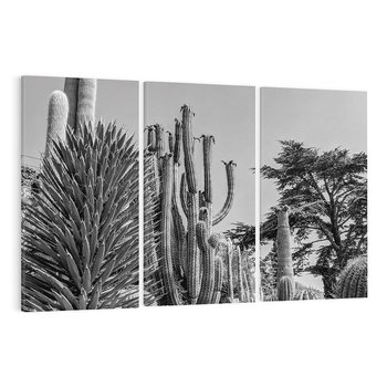 Obraz na płótnie 120x80 - Pustynny Klimat - czarno białe zdjecie, pustynia