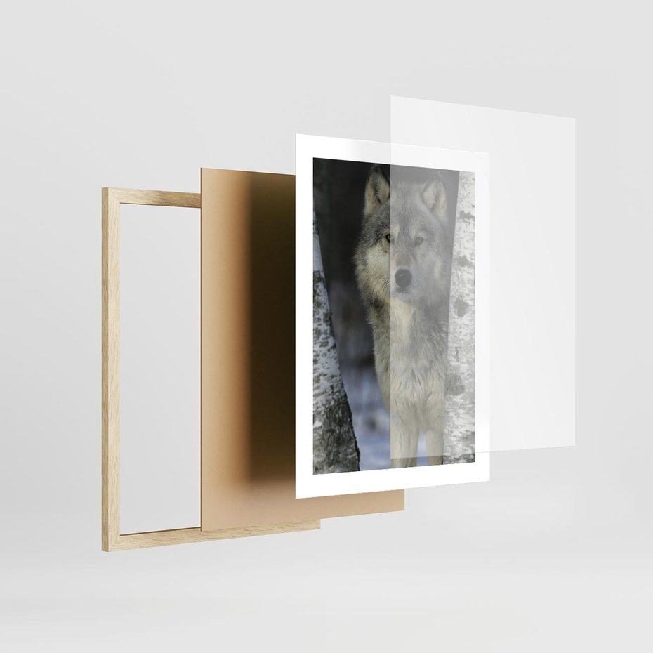 Plakat w ramie 30x40 - Wilk w Zimowym Lesie - wilk, las - rama drewno