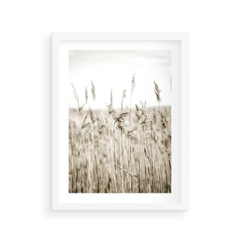 Plakat w ramie 40x50 - Nostalgiczny Pejzaż - suche trawy, pole - rama biała