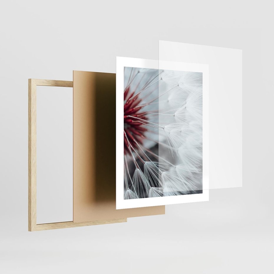 Plakat w ramie 40x50 - Makro świat dmuchawca - dmuchawiec, makro - rama drewno