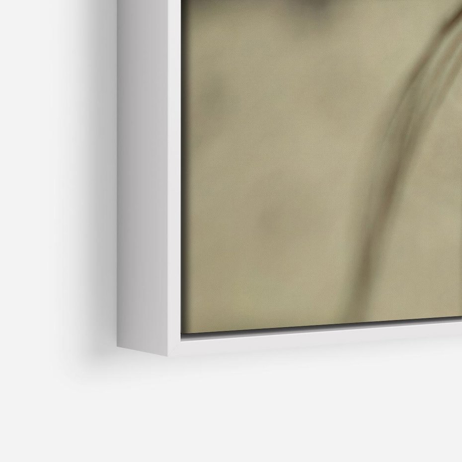 Obraz w ramie 70x50 - Delikatność dmuchawców - dmuchawce, krople - rama biała