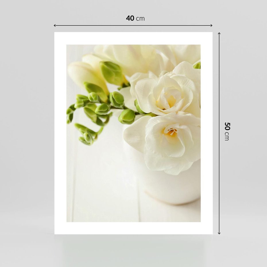 Plakat bez ramy 40x50 - Subtelność białych frezji - frezja, białe