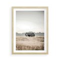Plakat w ramie 50x70 - Wiejska Idylla - stary drewniany dom w polu suchej trawy, fotografia - rama drewno