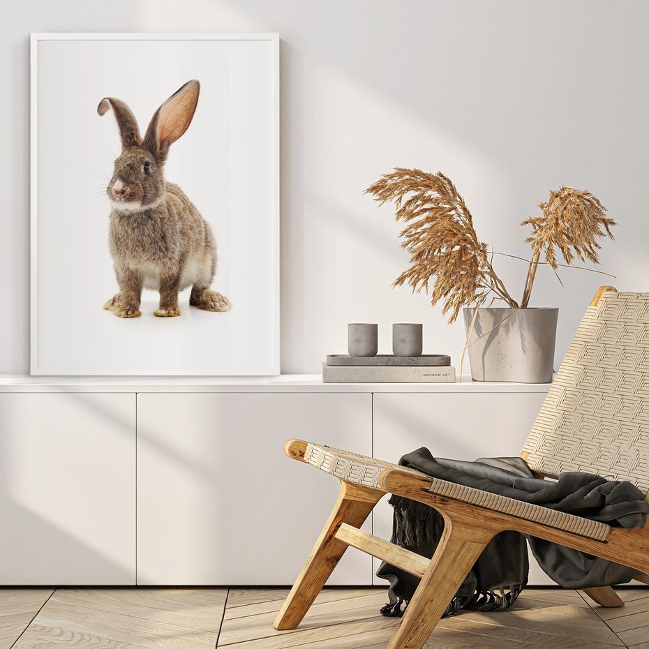 Plakat bez ramy 21x30 - Delikatna Zwierzęca Uroda - królik, zwierzę