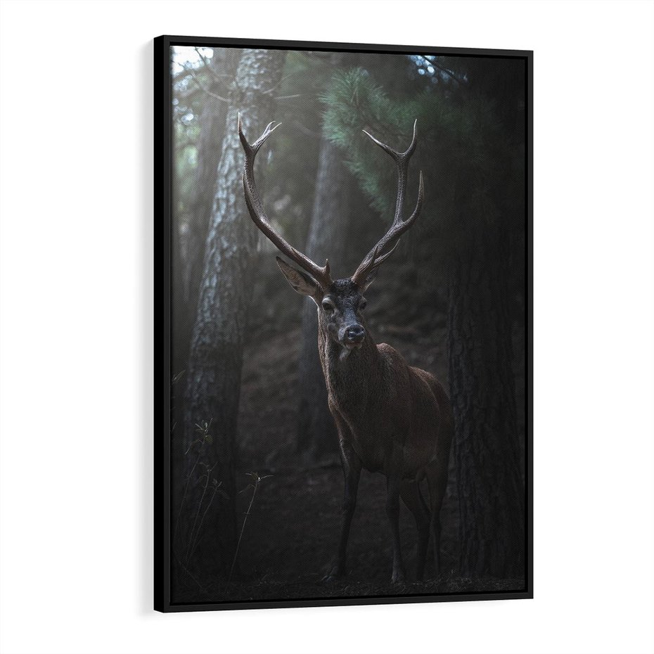 Obraz w ramie 70x100 - Jeleń wśród lasu - jeleń, las - rama czarna