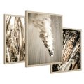 Zestaw obrazy w ramie 50x70 galeria - Sepia, kukurydza, pole - rama drewno