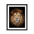 Plakat w ramie 40x50 - Król zwierząt w majestatycznym stylu - lew, król - rama czarna