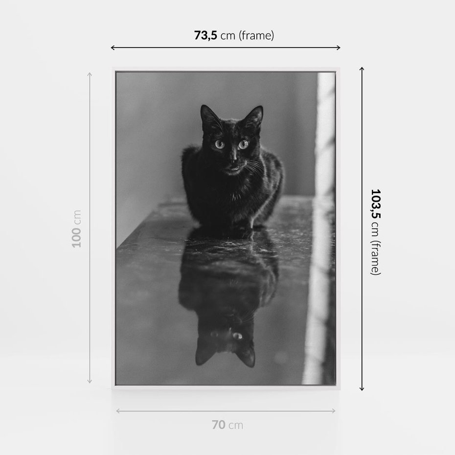 Obraz w ramie 70x100 - Kocie Oczy - kot, czarno białe zdjęcie - rama biała