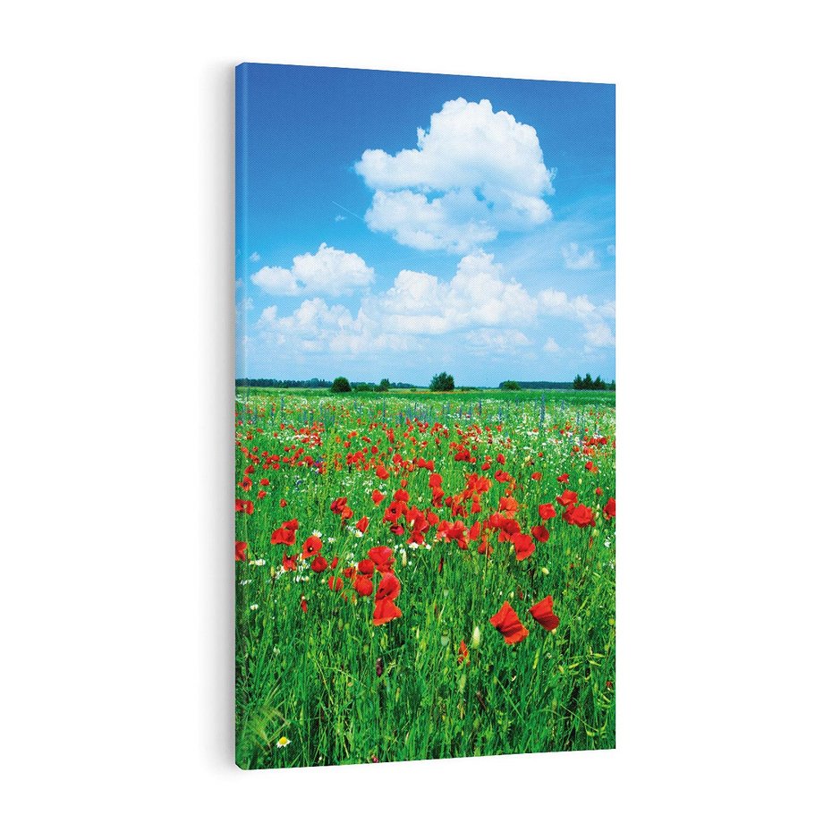 Obraz na płótnie 50x70 - Kolorowa łąka pełna maku - łąka, maki