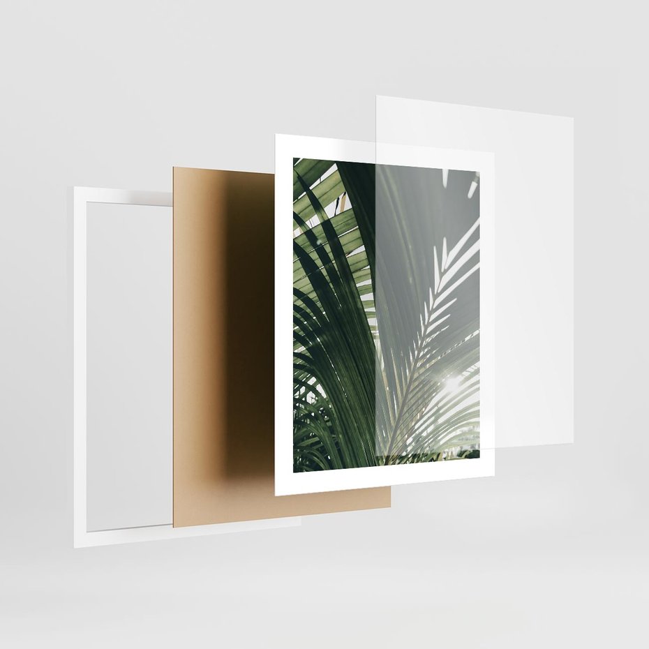 Plakat w ramie 40x50 - Tropikalne Uroki: Palmy i Zielone Liście - palmy, zielone liście - rama biała