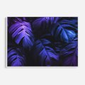 Obraz w ramie 120x80 - Mroczna Magia Dżungli - mroczna grafika, fioletowe liście monstery na czarnym tle - rama biała