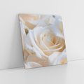 Obraz na płótnie 30x30 - Białe róże piękności - białe, róże