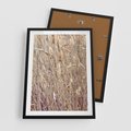 Plakat w ramie 50x70 - Suche Trawy w Wyjątkowym Stylu - suche trawy, boho styl - rama czarna