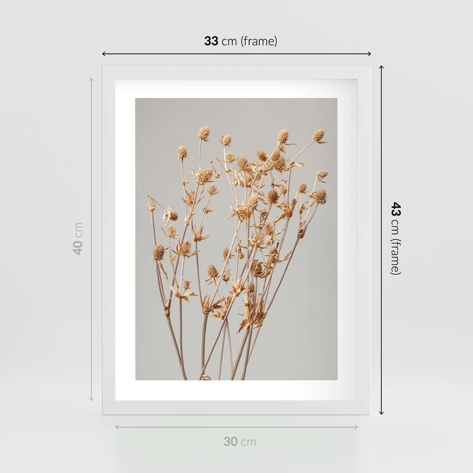 Plakat w ramie 30x40 - Delikatne gipsówki - gipsówka, suche - rama biała