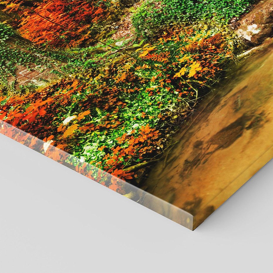 Obraz na płótnie 150x50 - Idylliczny las z bujnym strumykiem - las, drzewa