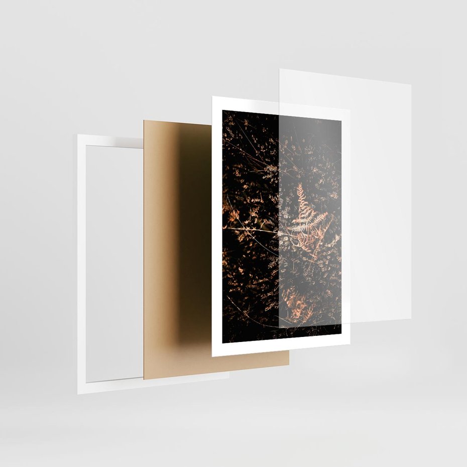 Plakat w ramie 50x70 - Jesienna Melodia - suche trawy, paprocie - rama biała