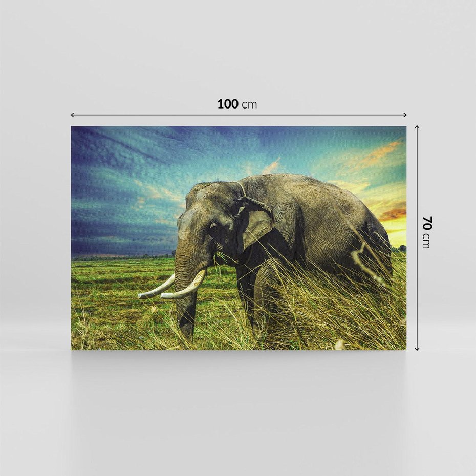 Obraz na płótnie 100x70 - Słoń w sawannie: Spotkanie z dziką przyrodą - słoń, sawanna