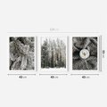 Zestaw obrazy w ramie 40x50 galeria - Las, zima, kawa - rama biała