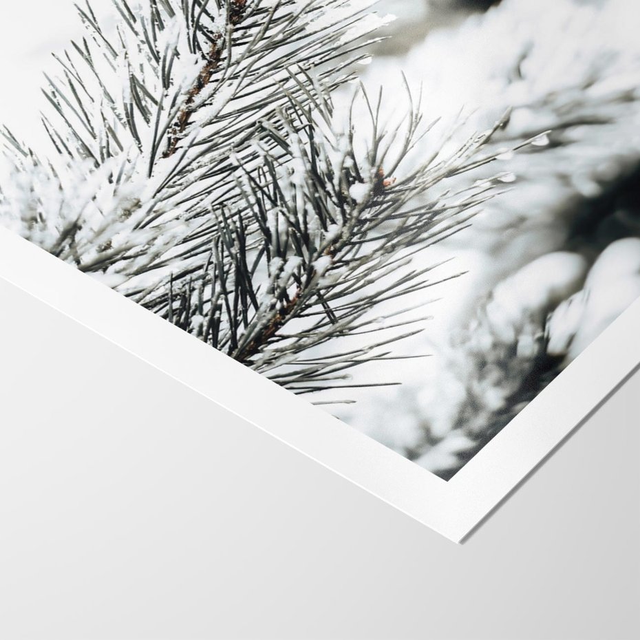 Plakat bez ramy 21x30 - Chwila Zimowej Magii - iglasta gałązka, śnieg
