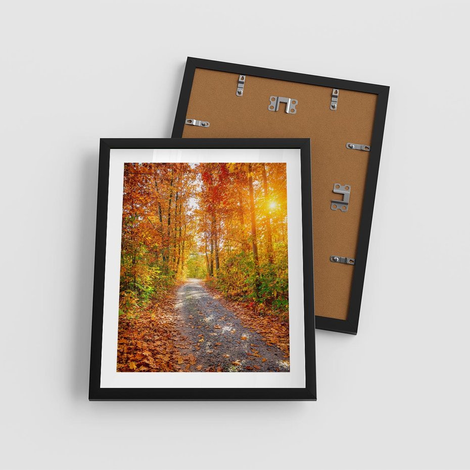 Plakat w ramie 40x50 - Kolorowe drzewa na ścieżce jesieni - las, jesień - rama czarna